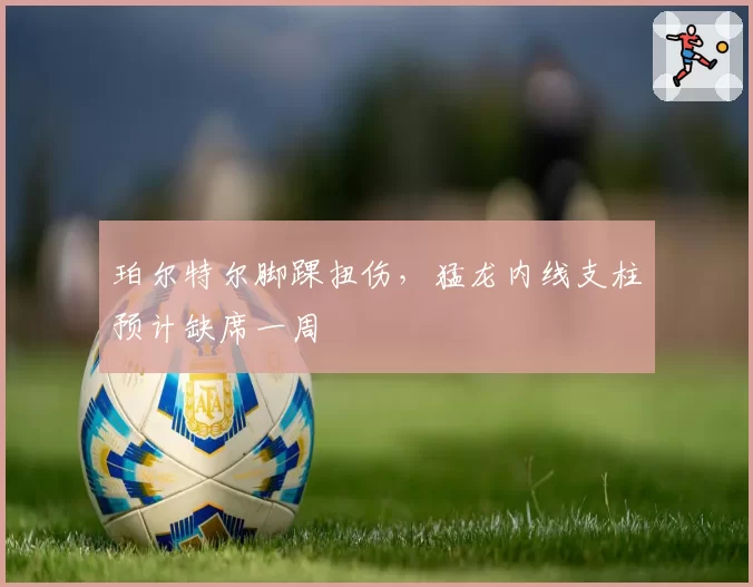 珀尔特尔脚踝扭伤，猛龙内线支柱预计缺席一周