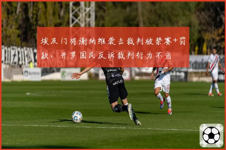 埃及门将谢纳维袭击裁判被禁赛+罚款，开罗国民反诉裁判行为不当