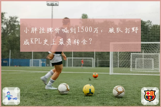 小胖挂牌价喊到1500万，狼队打野成KPL史上最贵转会？