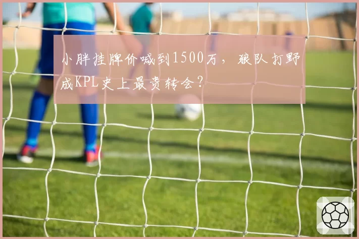 小胖挂牌价喊到1500万,狼队打野成KPL史上最贵转会?