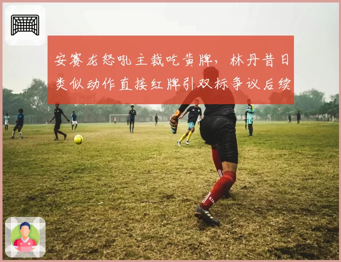 安赛龙怒吼主裁吃黄牌,林丹昔日类似动作直接红牌引双标争议后续如何?