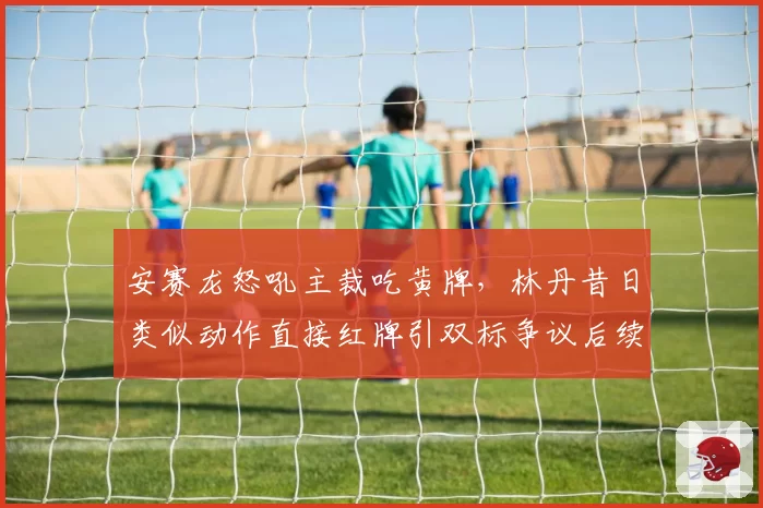 安赛龙怒吼主裁吃黄牌,林丹昔日类似动作直接红牌引双标争议后续如何?