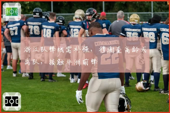 浙江队锋线需补强,穆谢奎高龄或离队,接触非洲前锋
