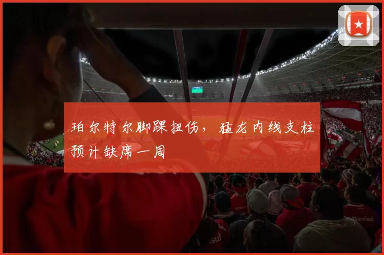 珀尔特尔脚踝扭伤，猛龙内线支柱预计缺席一周