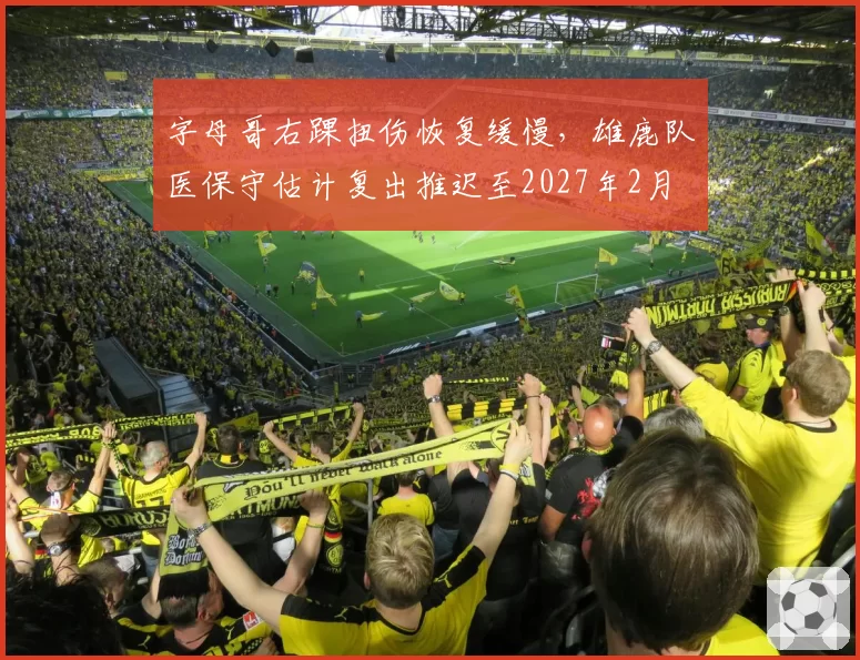 字母哥右踝扭伤恢复缓慢,雄鹿队医保守估计复出推迟至2027年2月