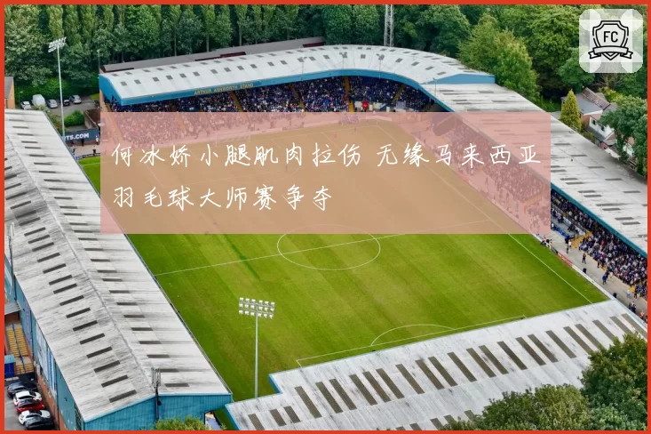 何冰娇小腿肌肉拉伤 无缘马来西亚羽毛球大师赛争夺
