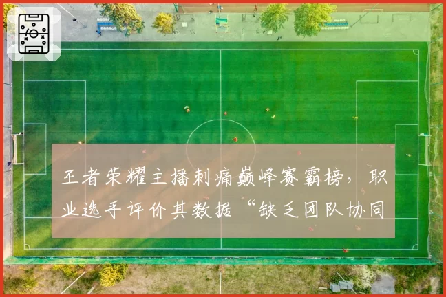 王者荣耀主播刺痛巅峰赛霸榜，职业选手评价其数据“缺乏团队协同价值”