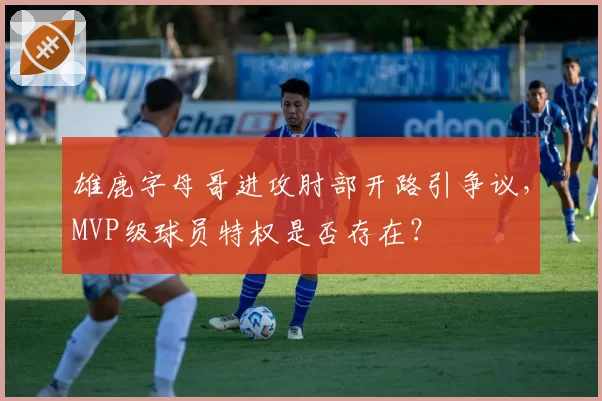 雄鹿字母哥进攻肘部开路引争议，MVP级球员特权是否存在？