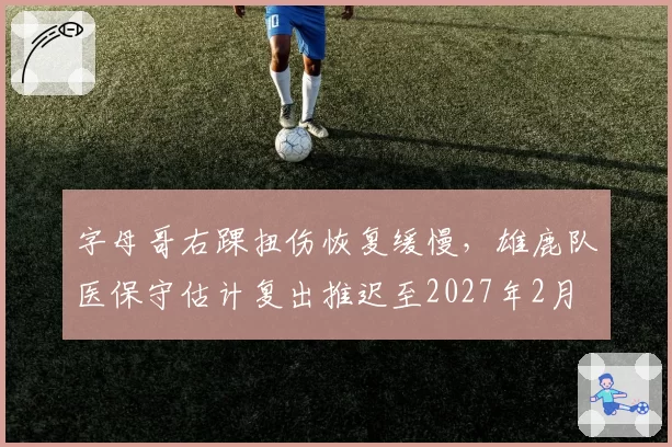 字母哥右踝扭伤恢复缓慢,雄鹿队医保守估计复出推迟至2027年2月