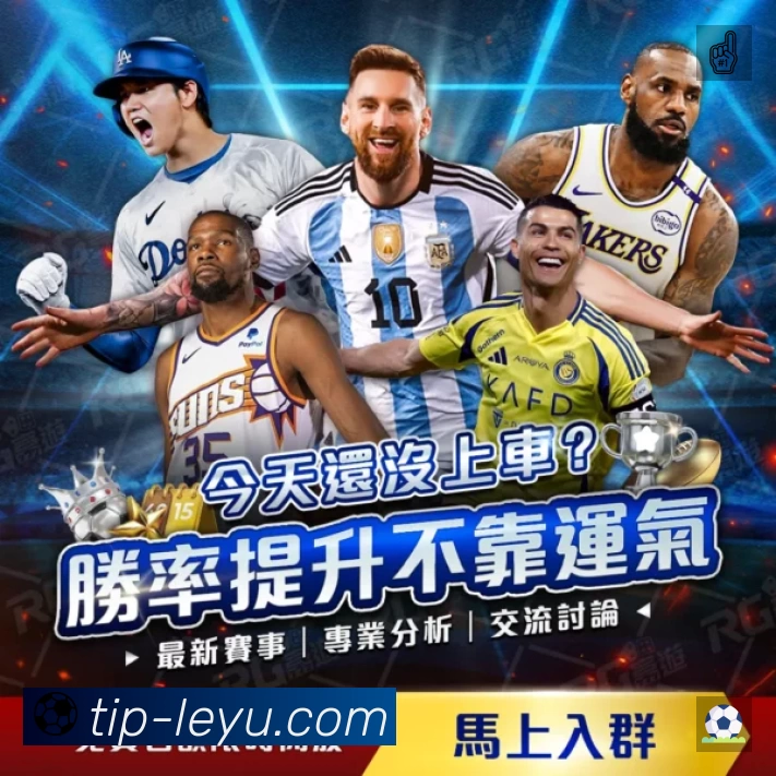 看点解析